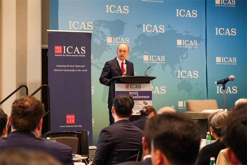 1761924847581545.jpg 800 01.jpg